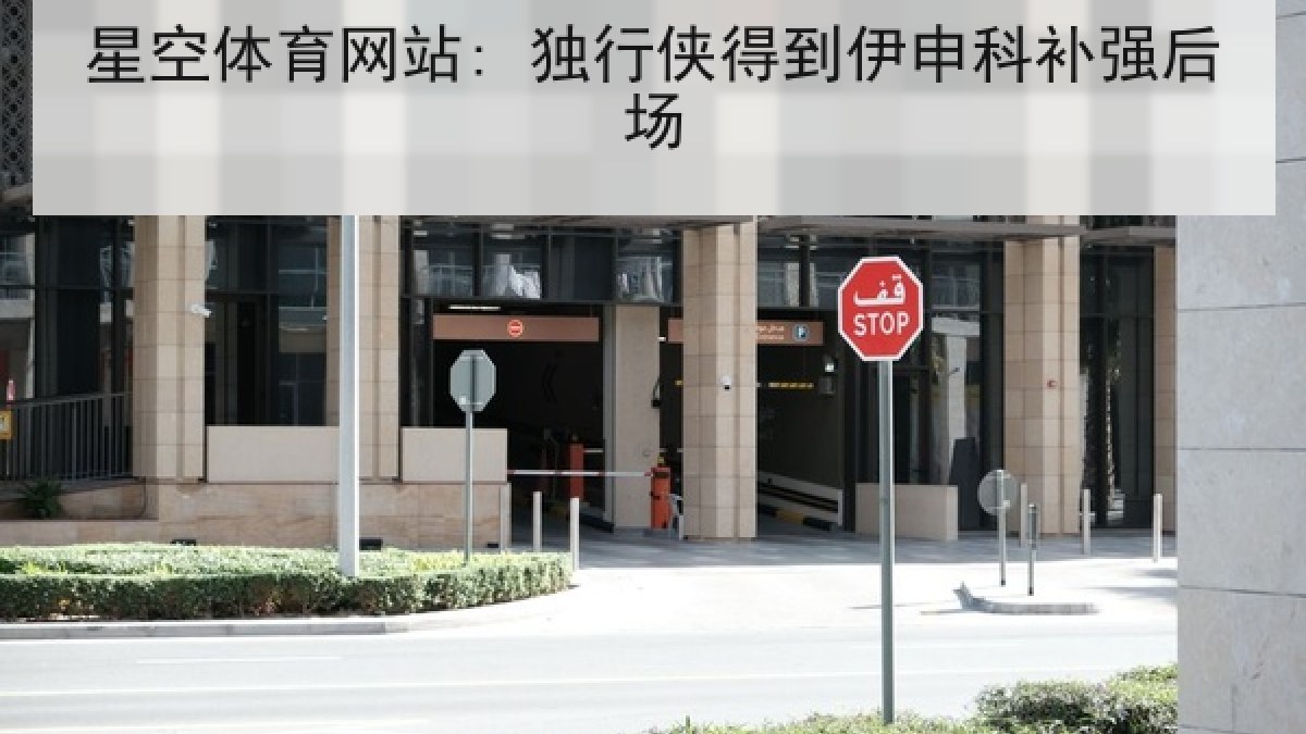 星空体育网站: 独行侠得到伊申科补强后场 星空体育网站: 独行侠得到伊申科补强后场